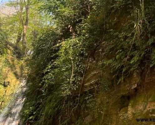 آبشار زال در سوادکوه مازندران