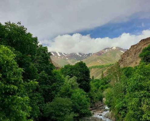 روستای آهار