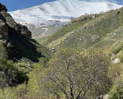 روستای آهار کجاست