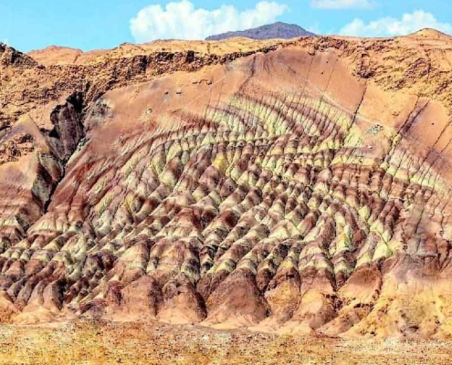 SnapInsta-7 SnapInsta 7