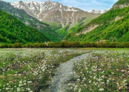 دشت دریاسر شهسوار تنکابن مازندران