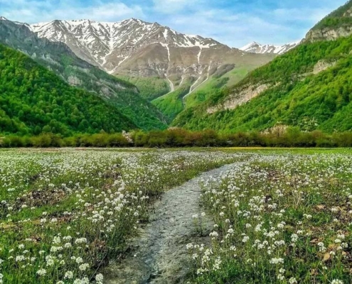 daryasar-plain-(1) دشت دریاسر شهسوار تنکابن مازندران