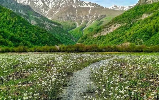 دشت دریاسر شهسوار تنکابن مازندران