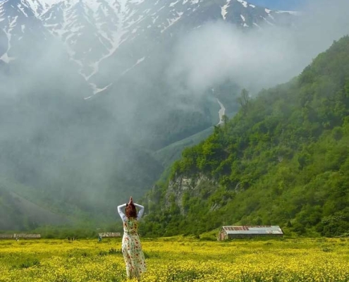 daryasar-plain-(3) دریاسر مازندران