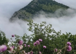 طبیعت زیبای دهکده ییلاقی چنگش