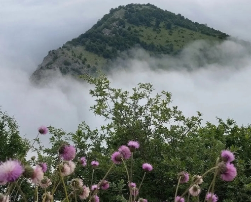 dehkade-chengesh-(1) طبیعت زیبای دهکده ییلاقی چنگش