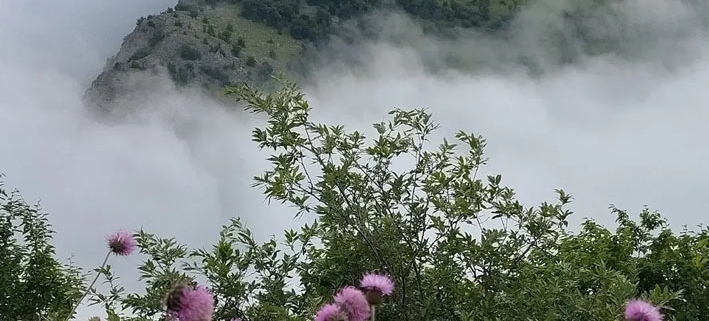 طبیعت زیبای دهکده ییلاقی چنگش