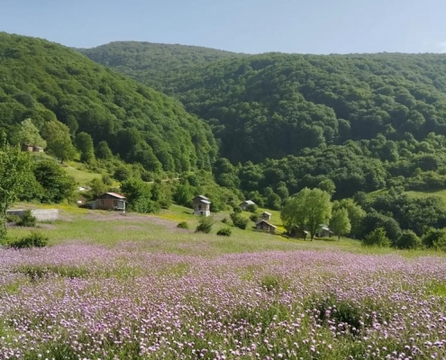 dehkade-chengesh-(2) دهکده چنگش