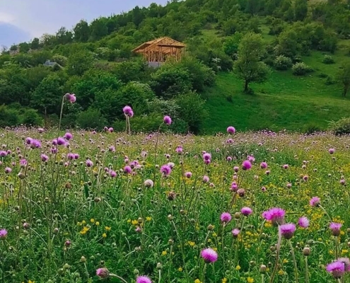 dehkade-chengesh-(5) دهکده ییلاقی چنگش در روستای چهار محل رودبار گیلان
