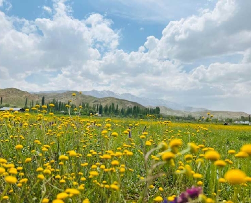 namrood-dam روستای سله بن فیروزکوه در اطراف دریاچه نمرود